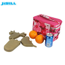 購入 熱く冷たく堅い貝のHdpeのプラスチック漫画のアイスパックのかわいいフリーザーのクーラーのパック online manufacture