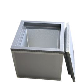 -20C 熱隔熱パネル 42L 容量 医療用血液 ワクチン 食品 食品 冷凍